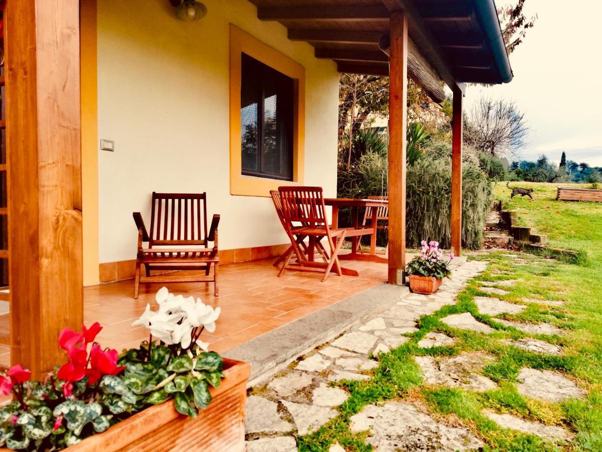La Casa Nettarina Guest House Poggio Mirteto ภายนอก รูปภาพ